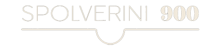Logo Spolverini900